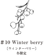 ハンドミスト ウィンター ベリー