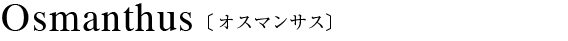 香水 15ml・ハンドクリーム 30gSET（オスマンサス）