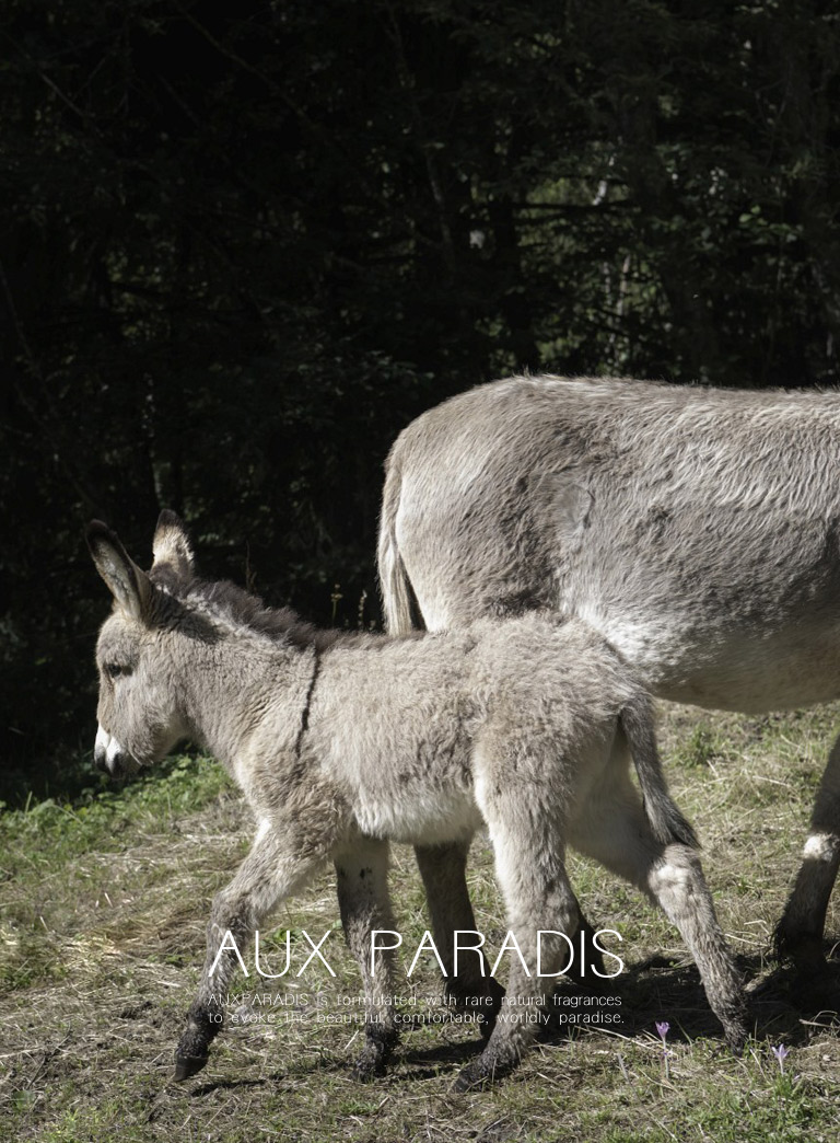 Aux Paradis 公式オンラインショップ